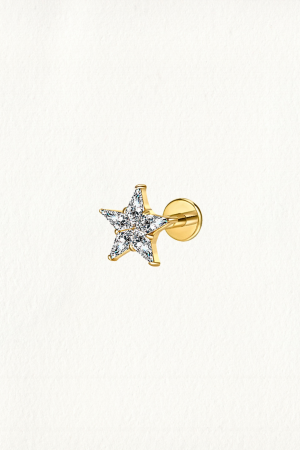 GOLD ZIRCON STAR THREADED STUD EARRING