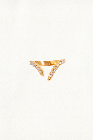 PAVE TUSK RING - Image 2